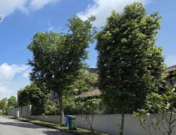 Faber Hills (D5), Detached #573743741